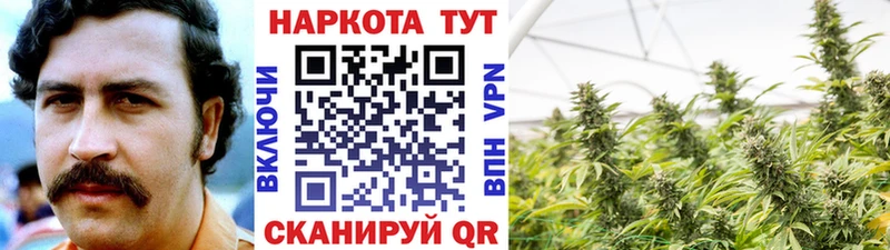 Купить Моздок Галлюциногенные грибы  A PVP  Меф мяу мяу  ГАШИШ 