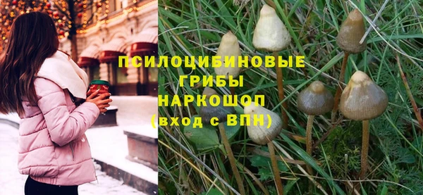 твердый Арсеньев