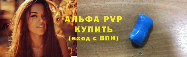 сатива Лабытнанги