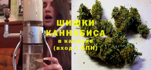 твердый Арсеньев