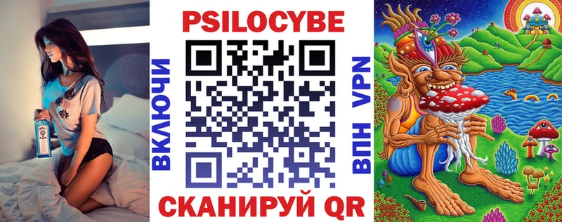Псилоцибиновые грибы Cubensis  Моздок 