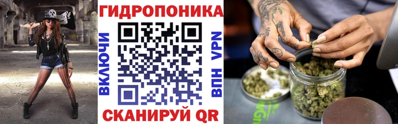 OMG ТОР  Моздок  Шишки марихуана White Widow 